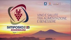 SIMPOSIO ASSOENOLOGI 2023