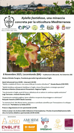 "Xilella fastidiosa, una minaccia concreta per la viticoltura Mediterranea"