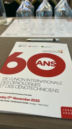 60º anniversario dell’Union Internationale des Œnologues et Œnotechniciens (UIŒ)